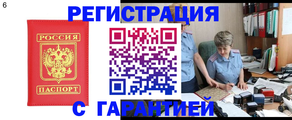 временная регистрация поиск в Щёлково